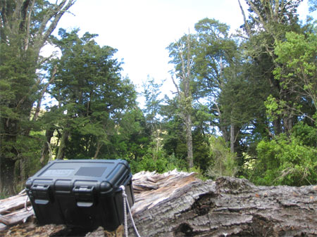 Bat Survey Central North Island