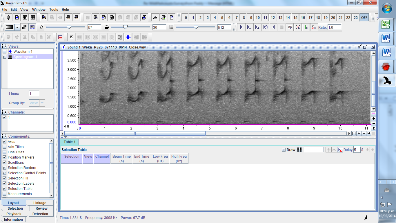 Raven software for Analysis
